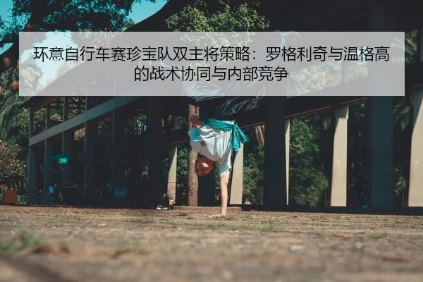 环意自行车赛珍宝队双主将策略：罗格利奇与温格高的战术协同与内部竞争